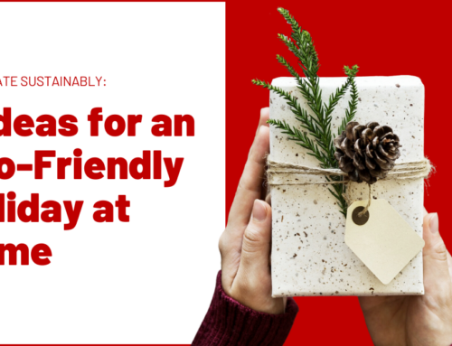 Celebrate Sustainably: 5 Ideas for an Eco-Friendly Holiday at Home